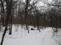 Chicago Ghost Hunters Group investigates the Maple Lake Ghost Lights (63).JPG